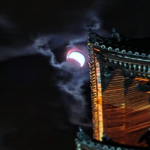 Gallery-14.png